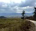 Снимка 4 — Земеделски имот в Ловеч, с. Голяма Желязна