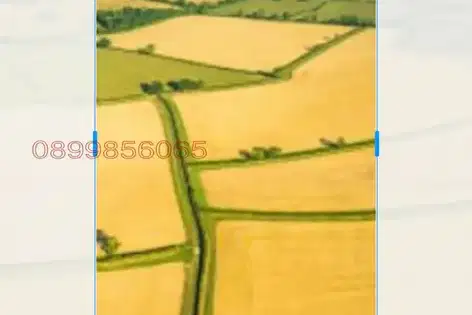 Agricultural Land in Oblast Kyustendil, Granica