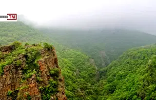 Земеделски имот в Пловдив, с. Храбрино