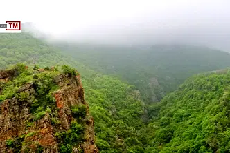 Земеделски имот в Пловдив, с. Храбрино