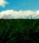 Земеделски имот във Варна, с. Изгрев