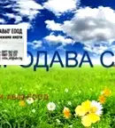 Земеделски имот в Добрич, с. Крушари