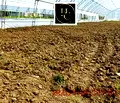 Снимка 4 — Земеделски имот във Варна, с. Куманово