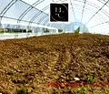 Снимка 5 — Земеделски имот във Варна, с. Куманово