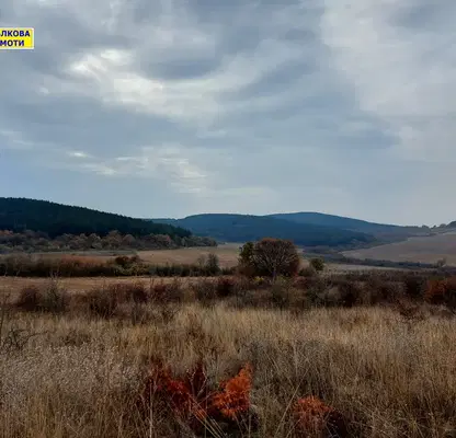 Снимка 2 — Земеделски имот в Стара Загора, с. Лясково
