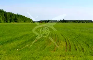 Земеделски имот в Бургас, с. Малка поляна