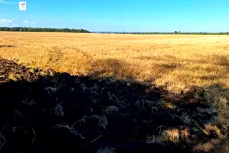 Земеделски имот в Добрич, с. Малка Смолница