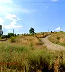 Земеделски имот в Стара Загора, с. Малка Верея