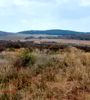 Земеделски имот в Стара Загора, с. Малка Верея
