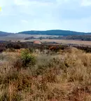 Земеделски имот в Стара Загора, с. Малка Верея