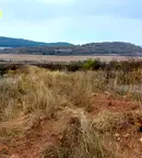 Земеделски имот в Стара Загора, с. Малка Верея