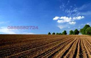 Земеделски имот в Русе, с. Мечка