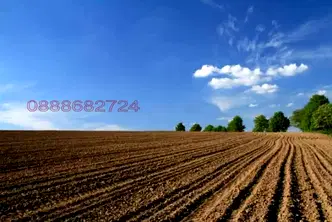 Земеделски имот в Русе, с. Мечка