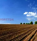 Земеделски имот в Русе, с. Мечка