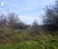Снимка 4 — Земеделски имот във Варна, с. Петров дол
