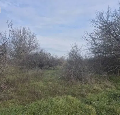 Photo 4 — Agricultural Land in Oblast Varna, Petrov Dol