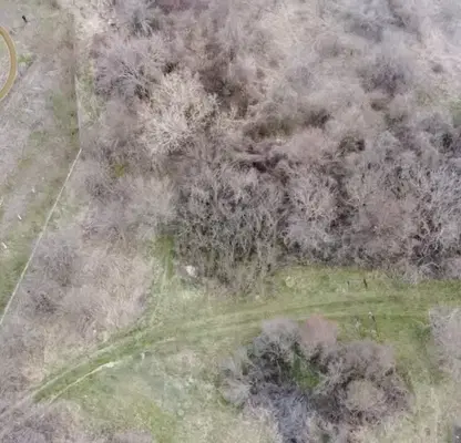 Photo 2 — Agricultural Land in Oblast Kyustendil, Skrinyano