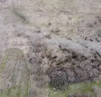 Photo 4 — Agricultural Land in Oblast Kyustendil, Skrinyano