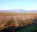 Снимка 3 — Земеделски имот в Кюстендил, с. Соволяно