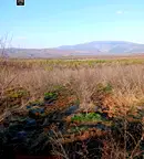 Земеделски имот в Кюстендил, с. Соволяно