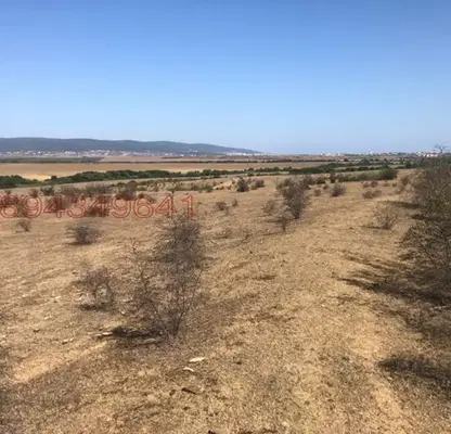 Photo 3 — Agricultural Land in Oblast Burgas, Tynkovo