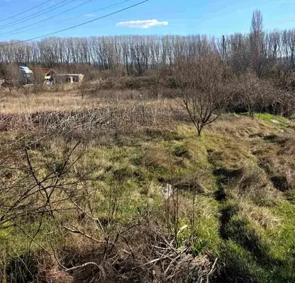 Photo 2 — Agricultural Land in Oblast Kyustendil, Yabylkovo