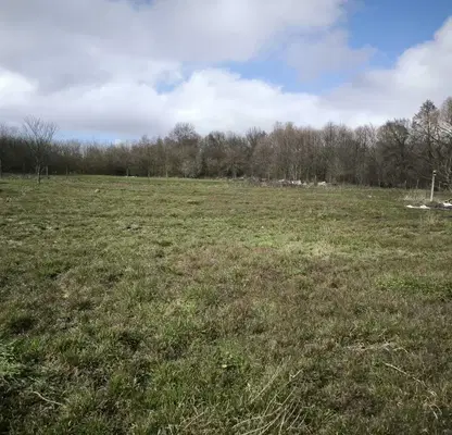 Photo 2 — Agricultural Land in Oblast Burgas, Yasna Polyana