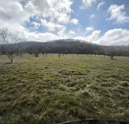 Photo 3 — Agricultural Land in Oblast Burgas, Yasna Polyana