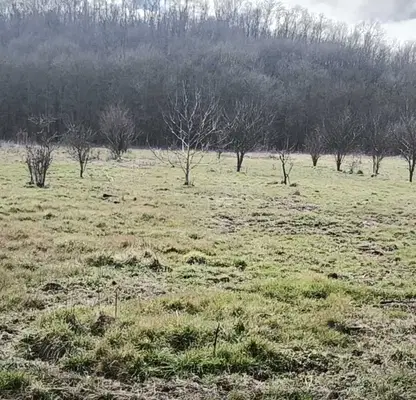 Photo 4 — Agricultural Land in Oblast Burgas, Yasna Polyana