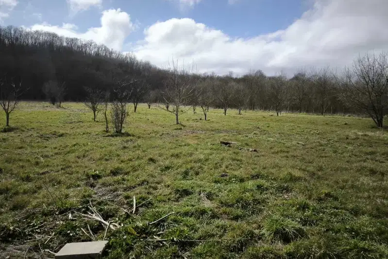 Agricultural Land in Oblast Burgas, Yasna Polyana