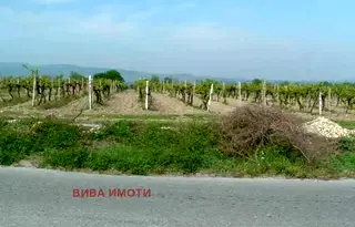 Земеделски имот в Пловдив, с. Златитрап