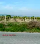 Земеделски имот в Пловдив, с. Златитрап