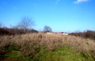 Земеделски имот в Пловдив, Стамболийски