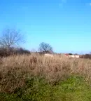Земеделски имот в Пловдив, Стамболийски