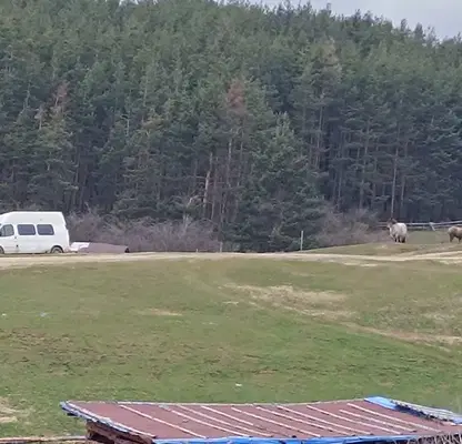 Снимка 2 — Земеделски имот в Пазарджик, Велин