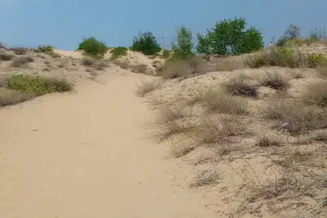Хотел в Бургас, к.к. Слънчев бряг
