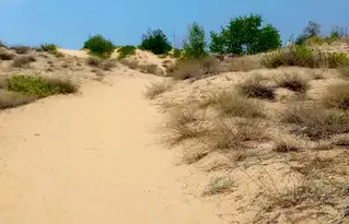Хотел в Бургас, к.к. Слънчев бряг