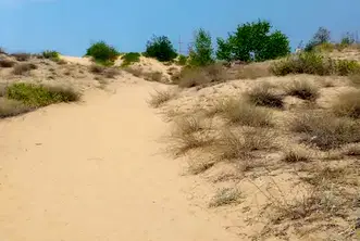 Хотел в Бургас, к.к. Слънчев бряг
