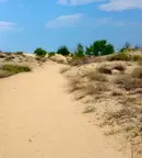 Хотел в Бургас, к.к. Слънчев бряг
