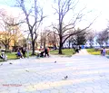 Снимка 3 — Етаж от къща в Пловдив, Кючук Париж