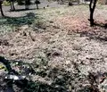 Снимка 5 — Къща в Бургас, Айтос