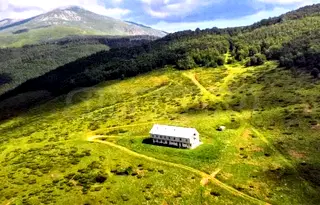Къща в Ловеч, Априлци