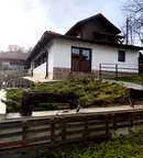 Къща в Ловеч, Априлци