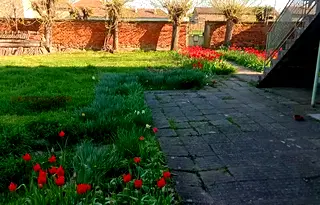 Къща в Плевен, Койнаре