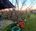 Снимка 4 — Къща във Враца, Козлодуй