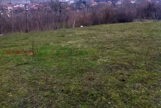 Къща във Враца, Козлодуй