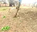 Снимка 4 — Къща в Перник, Църква