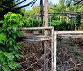 Снимка 4 — Къща в Раз, Житница