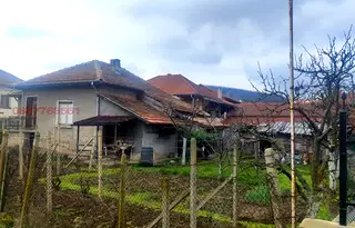 Къща във Враца, Роман
