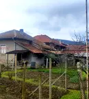 Къща във Враца, Роман